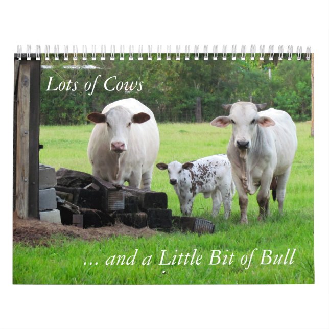 Muchas vacas y un poco de calendario de toros (Tapa)