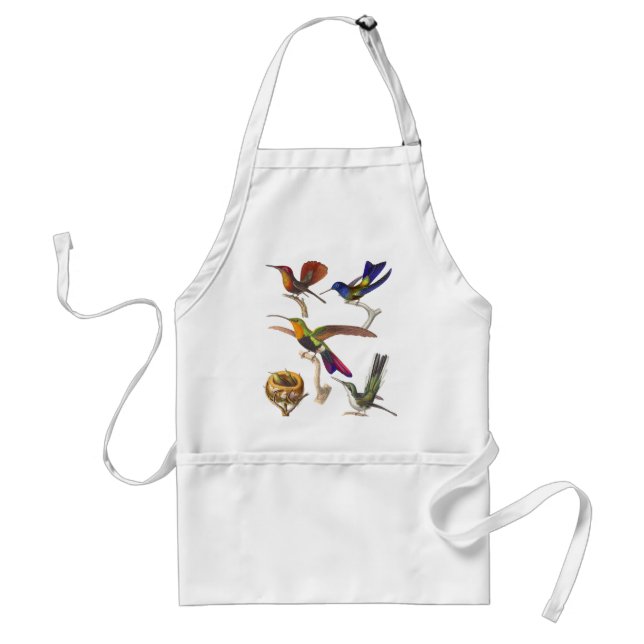 Muchos colibríes multicolores en un delantal (Frente)