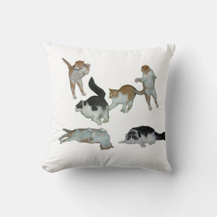 Muchos gatos jugando al almohada