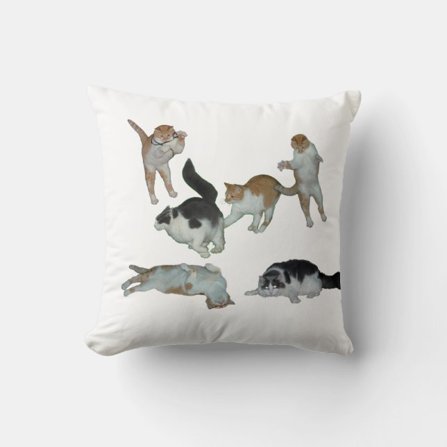 Muchos gatos jugando al almohada (Anverso)
