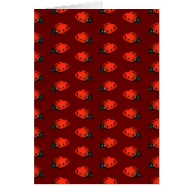 Muchos Ladybugs (Frente)