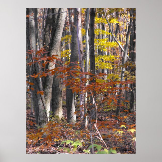 Muchos Posters de Trunks (Frente)