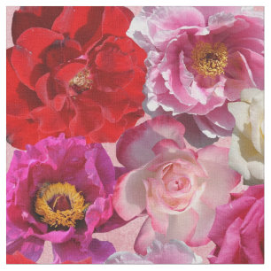 muchos rosas imprimen tela