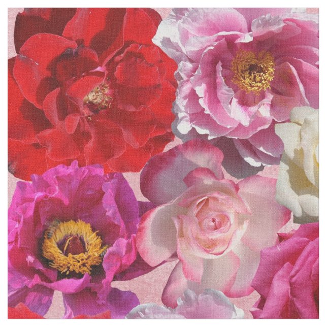 muchos rosas imprimen tela (De cerca)