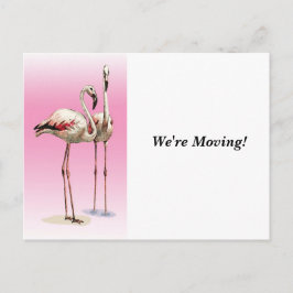 Mudanza - Cambio de Domicilio - Tarjeta Postal