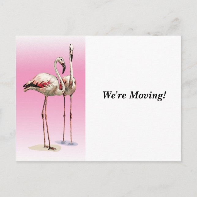 Mudanza - Cambio de Domicilio - Tarjeta Postal (Anverso)