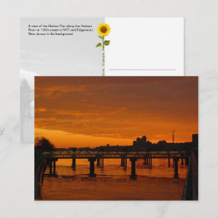 Muelle de West Harlem, NYC - Tarjeta postal H