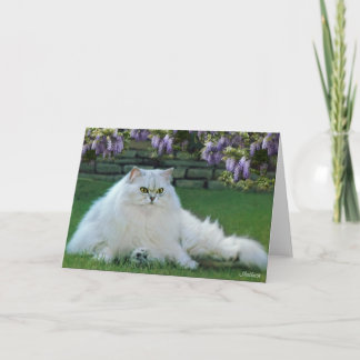 Muérdago la tarjeta de felicitación en blanco