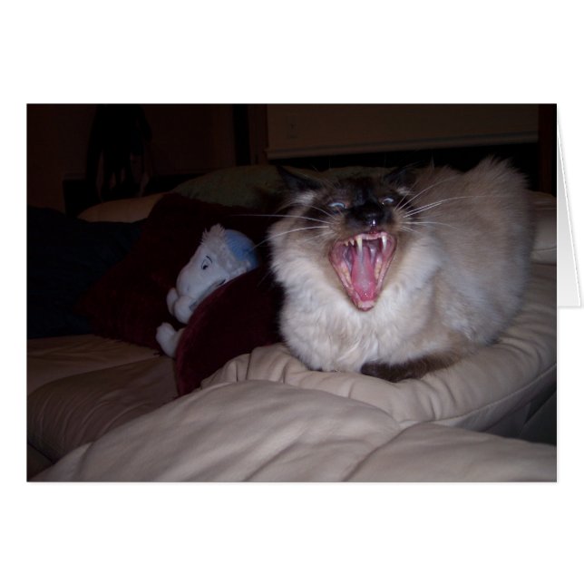 ¡Muérdeme! (Anverso (Horizontal))