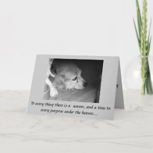 Muerte de la tarjeta de condolencia del mascota