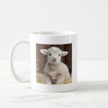 Mug de oveja de bebé, tazas de animal