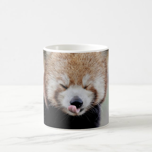 Mug Foto panda roja , animales. taza de café (Centro)