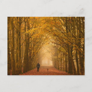 Mujer caminando con su perro en la postal de otoño