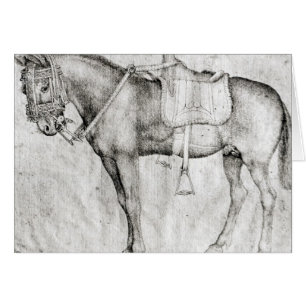 Mula, del álbum de Vallardi