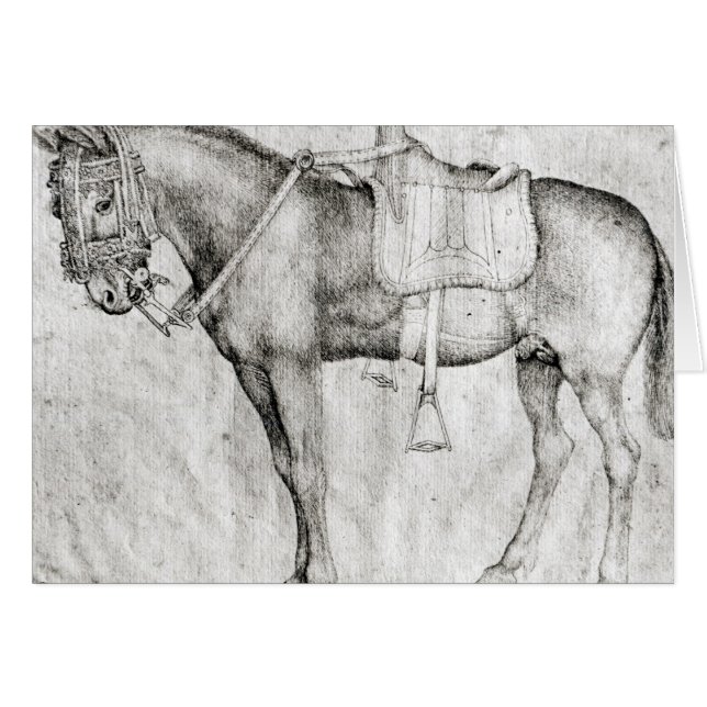 Mula, del álbum de Vallardi (Anverso (Horizontal))