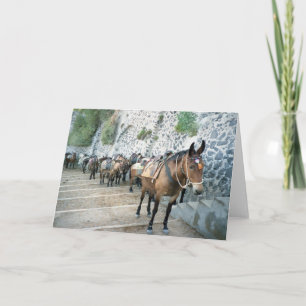 Mulas en Grecia tarjetas de felicitación