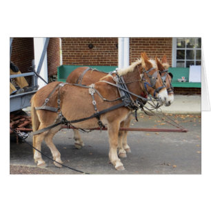 Mule Cart