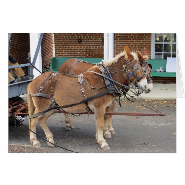 Mule Cart (Anverso (Horizontal))