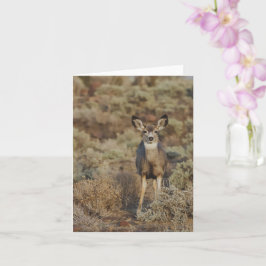 Muley en la Sabia - Tarjeta de 4" x 5.6"