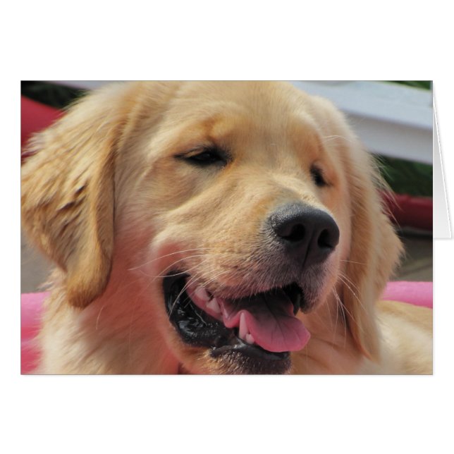 Multa de Feelin (Anverso (Horizontal))