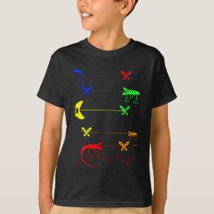 Multicoloreada, camiseta Rainbow Chameleon