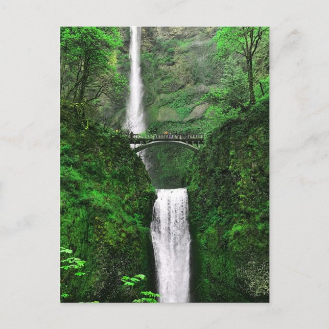 Multnomah cae #1-2 postal (Anverso)