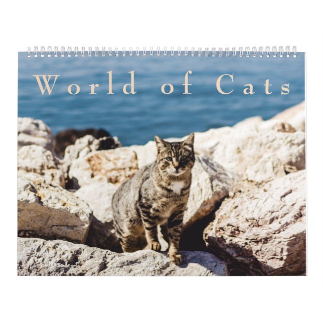 Mundo del calendario de los gatos (Tapa)
