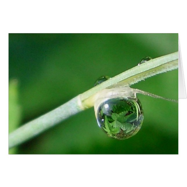 Mundo en gota (Anverso (Horizontal))