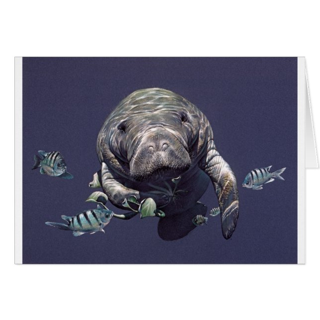Mundo subacuático del Manatee (Anverso (Horizontal))