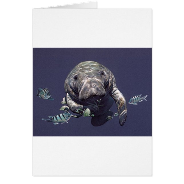 Mundo subacuático del Manatee (Frente)