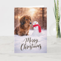 Muñeco de nieve de Navidad Dachshund