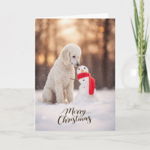 Muñeco de Nieve de Navidad de Caniche Blanco