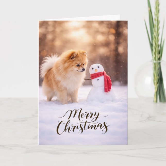Muñeco de Nieve de Navidad Pomerania (Anverso)