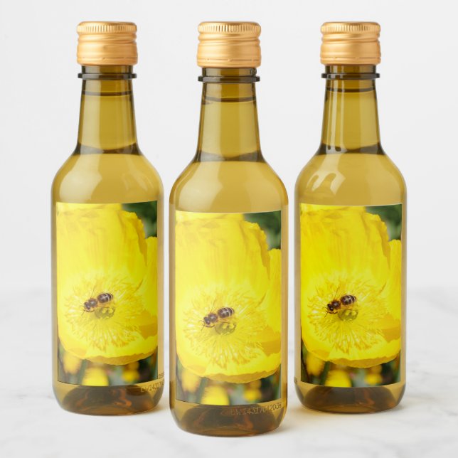 Murciélago bañado en amarillo  (Botellas)