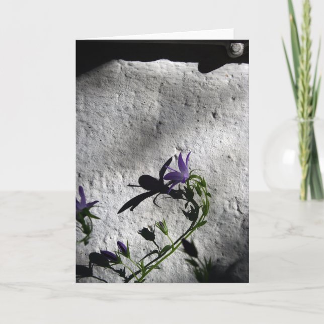 Muro con flores de flores de Bellflower - Tarjetas (Anverso)
