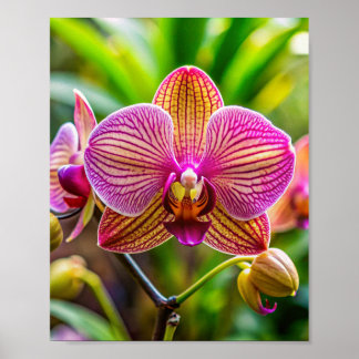 Muro de arte de Orchidée