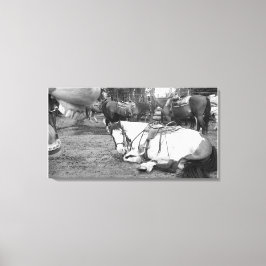 Muro de caballo Arte Fotobombante en blanco y negr