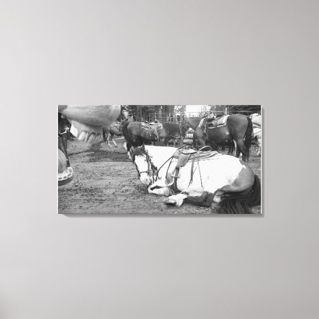 Muro de caballo Arte Fotobombante en blanco y negr (Anverso)