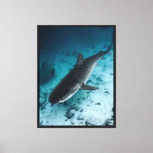 Muro de lienzo de vida silvestre submarino de Tibu
