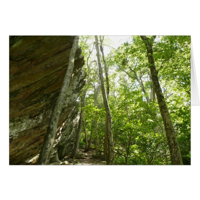 Muro de rock de Frazier en el Parque Nacional Shen (Anverso (Horizontal))