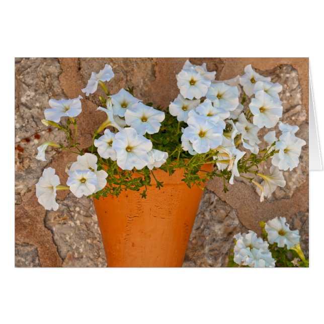 Muro español (Anverso (Horizontal))