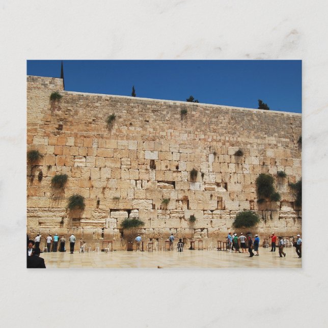 Muro occidental, tarjeta postal de Jerusalén (Anverso)
