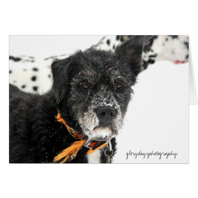 Murphy (Anverso (Horizontal))