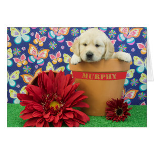 Murphy, foto de la semana 5