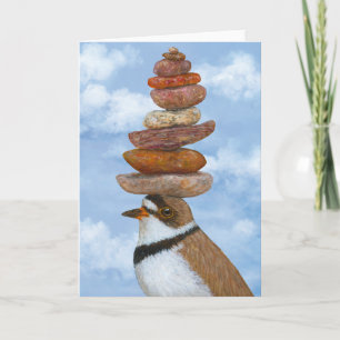 Murray la tarjeta semiconciliadora de plover