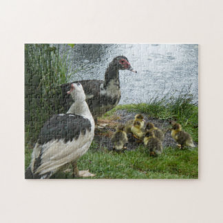 Muscovy Moms And Ducklings Puzzle