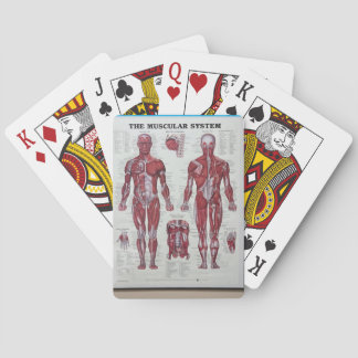 Músculo y cartas de juego en el cuerpo