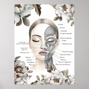 Músculos faciales Anatomía Arte Masaje Terapia Reg