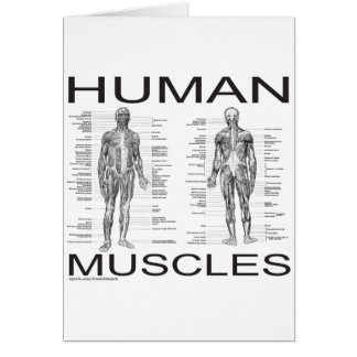 Músculos humanos y anatomía