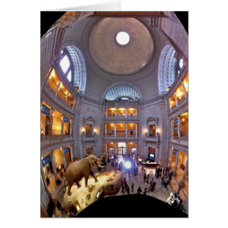 Museo de Historia Natural